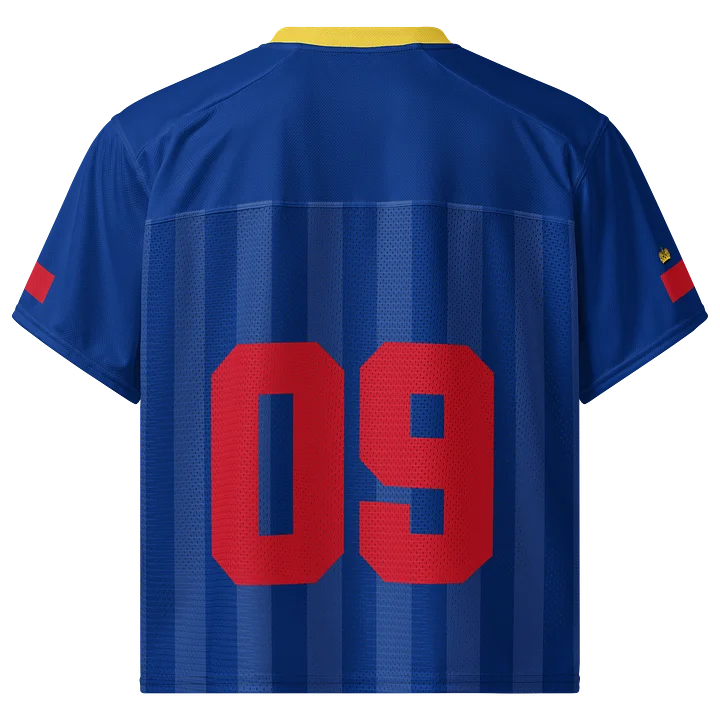 Liechtenstein Boxy Sports Tee product image (2)