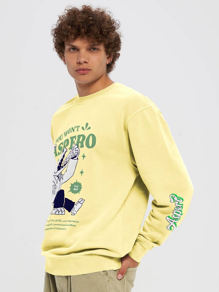 Asper Vintage Stylized Sweatshirt product image (85)