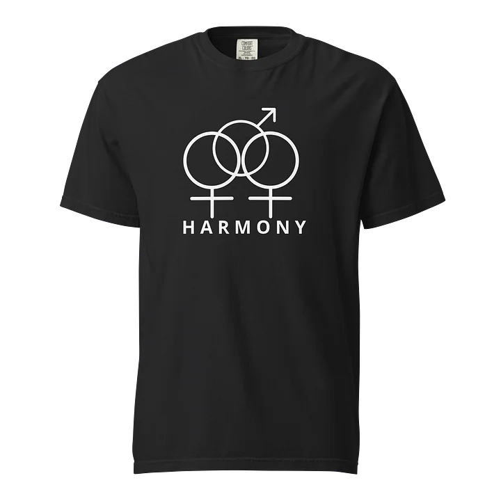 Harmony Tee – Divine Union & Balance Symbol product image (1)