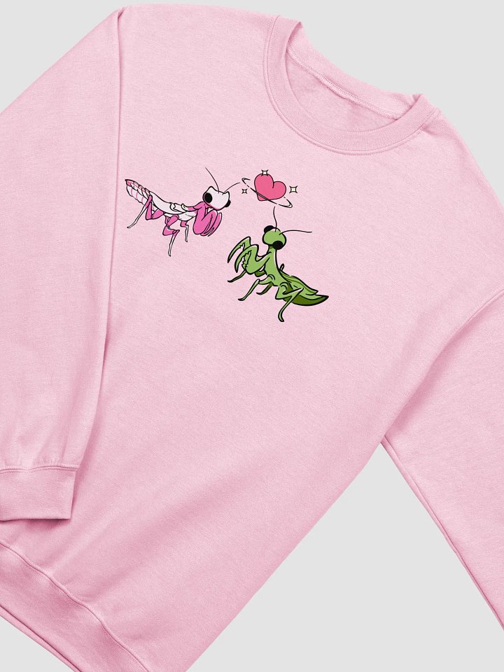 love bug crewneck product image (2)
