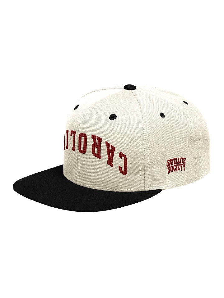 Satellite Society Upside Down Carolina Wool Snapback product image (20)