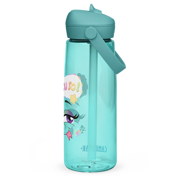 "I Told You So" Water Bottle product image (2)
