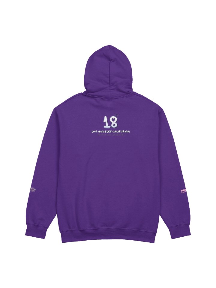 Intuitive Paradise Hoodie product image (2)