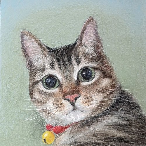 I have done many paintings of cats since last year.. I am going to post some of them.#catlover
#pastels #pastelpainting #arts...
