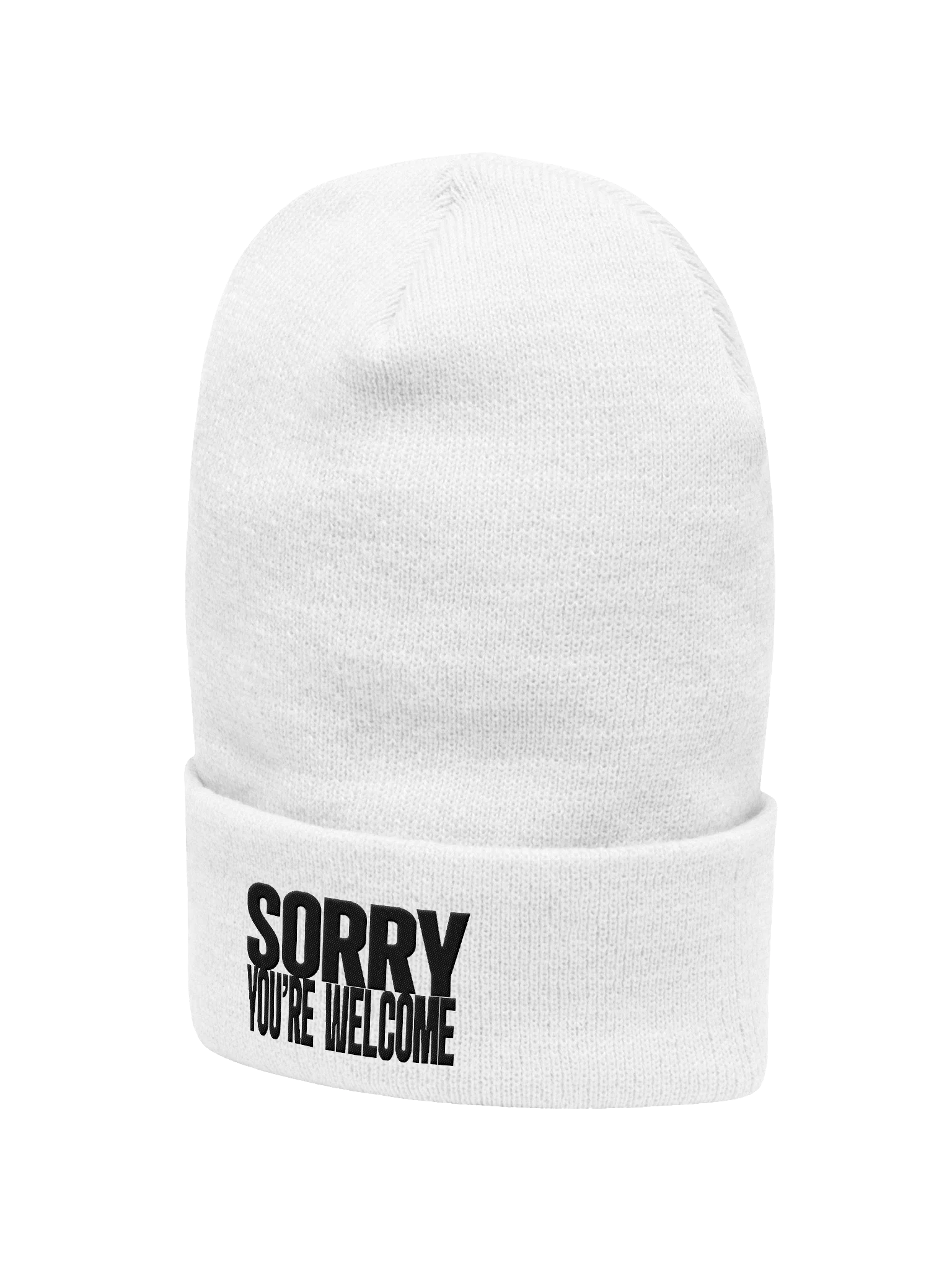 Sorry, You're Welcome (Embroidered Beanie) product image (2)