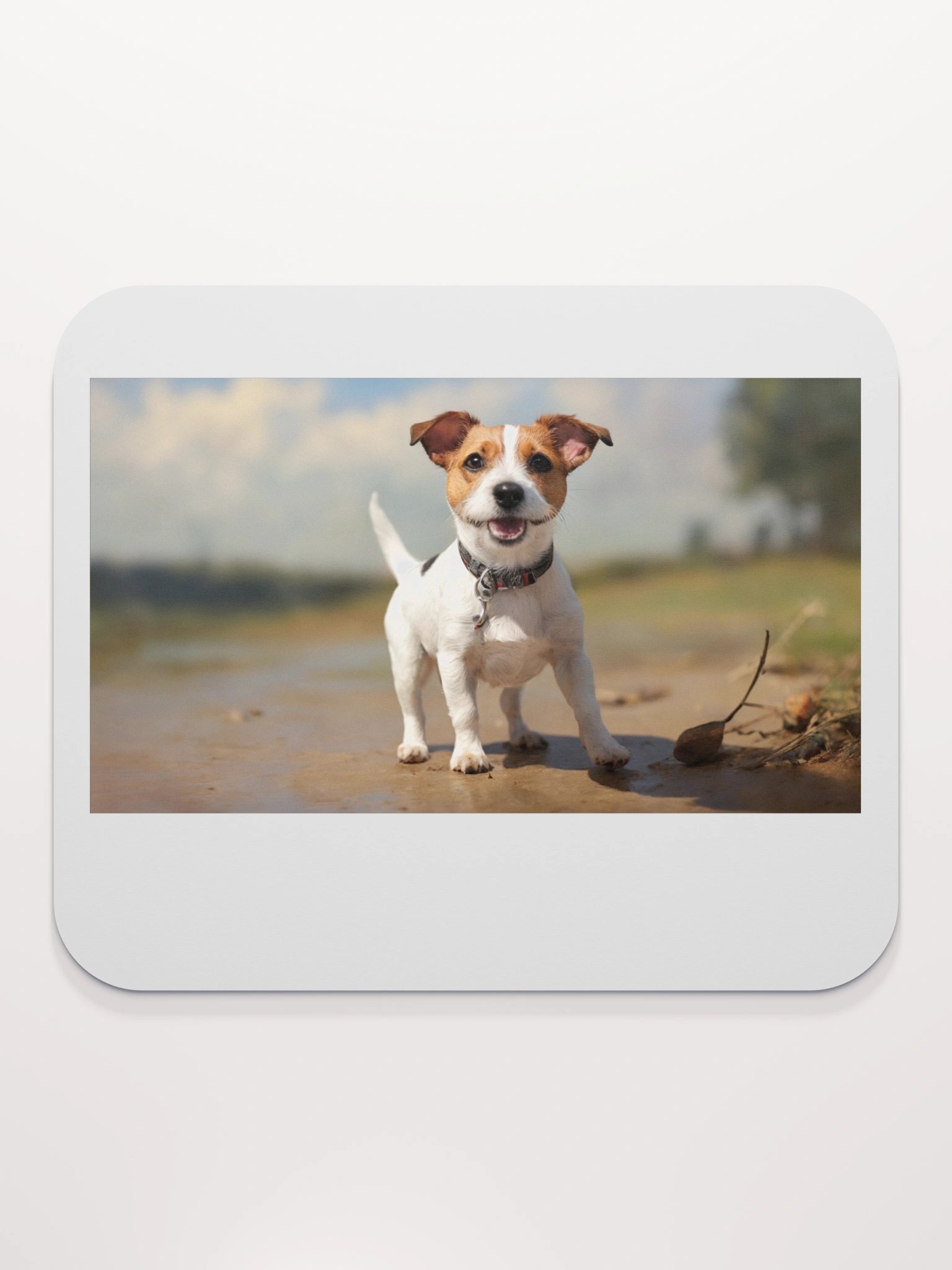 dog love product image (2)