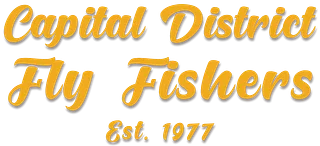 CDFF Store