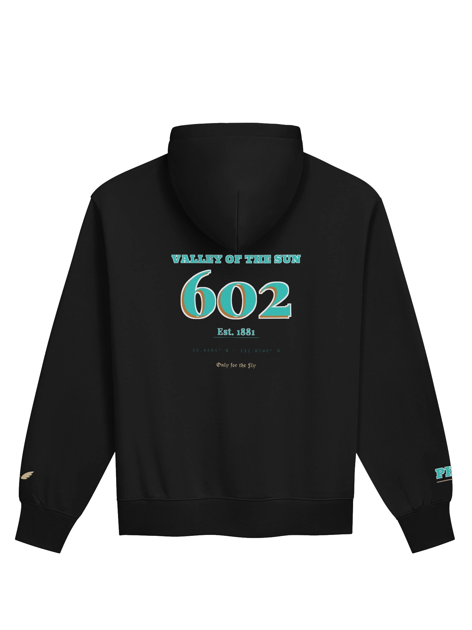 GAME DAY — Phoenix Copper · Hoodie · Black product image (2)