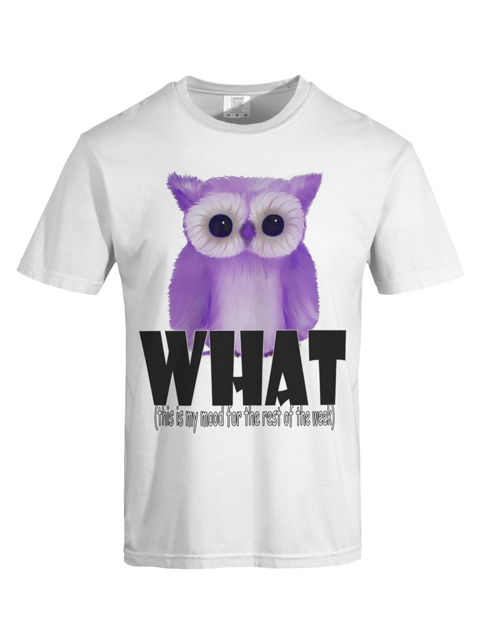 Owl "WHAT" T-Shirt. Men's Comfort Colors Garment-Dyed Heavyweight T-Shirt product image (4)