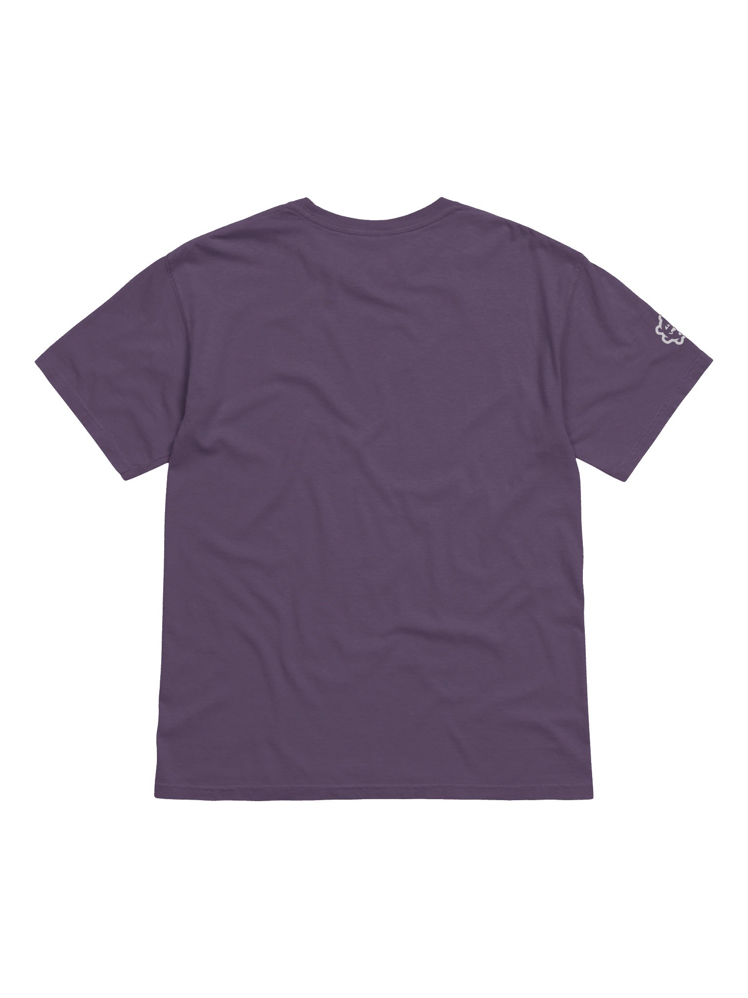 Athletic T-Shirt - Inverted product image (2)