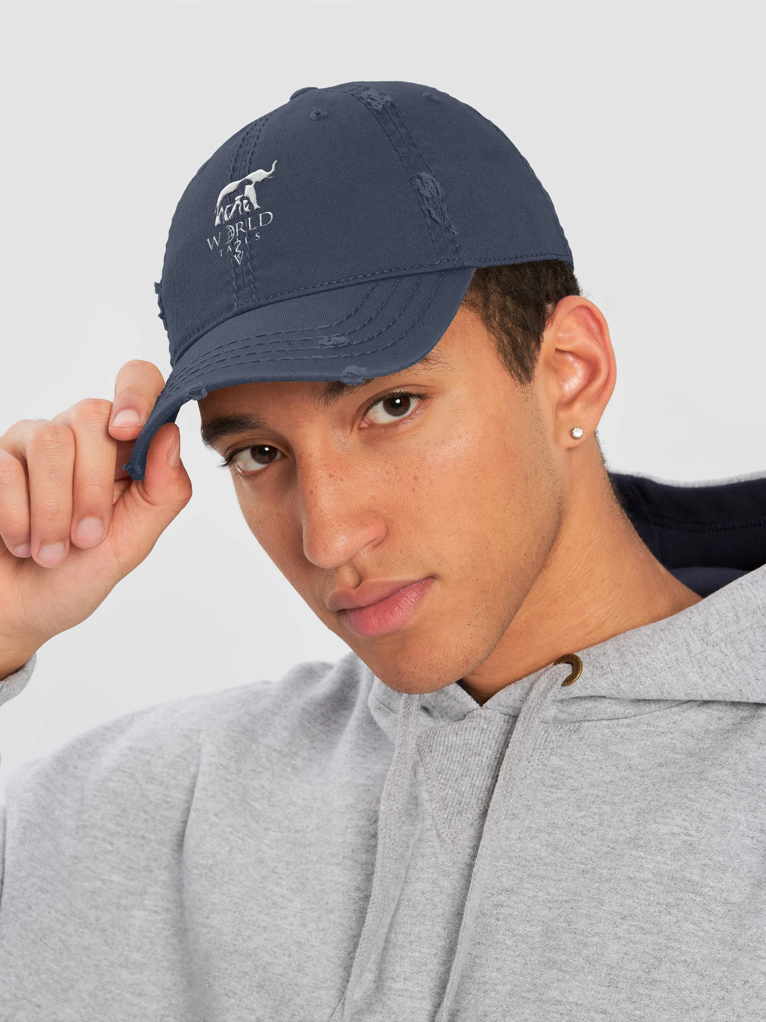 Logo Distressed Cap product image (4)