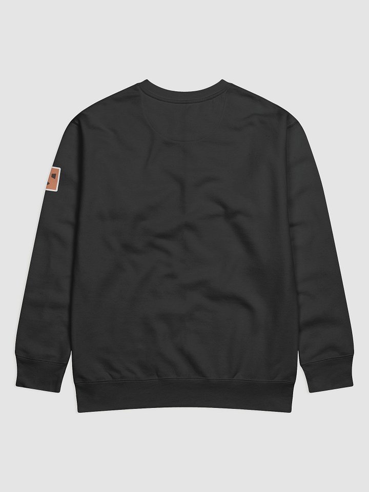 Beta Berta Sweatshirt product image (12)