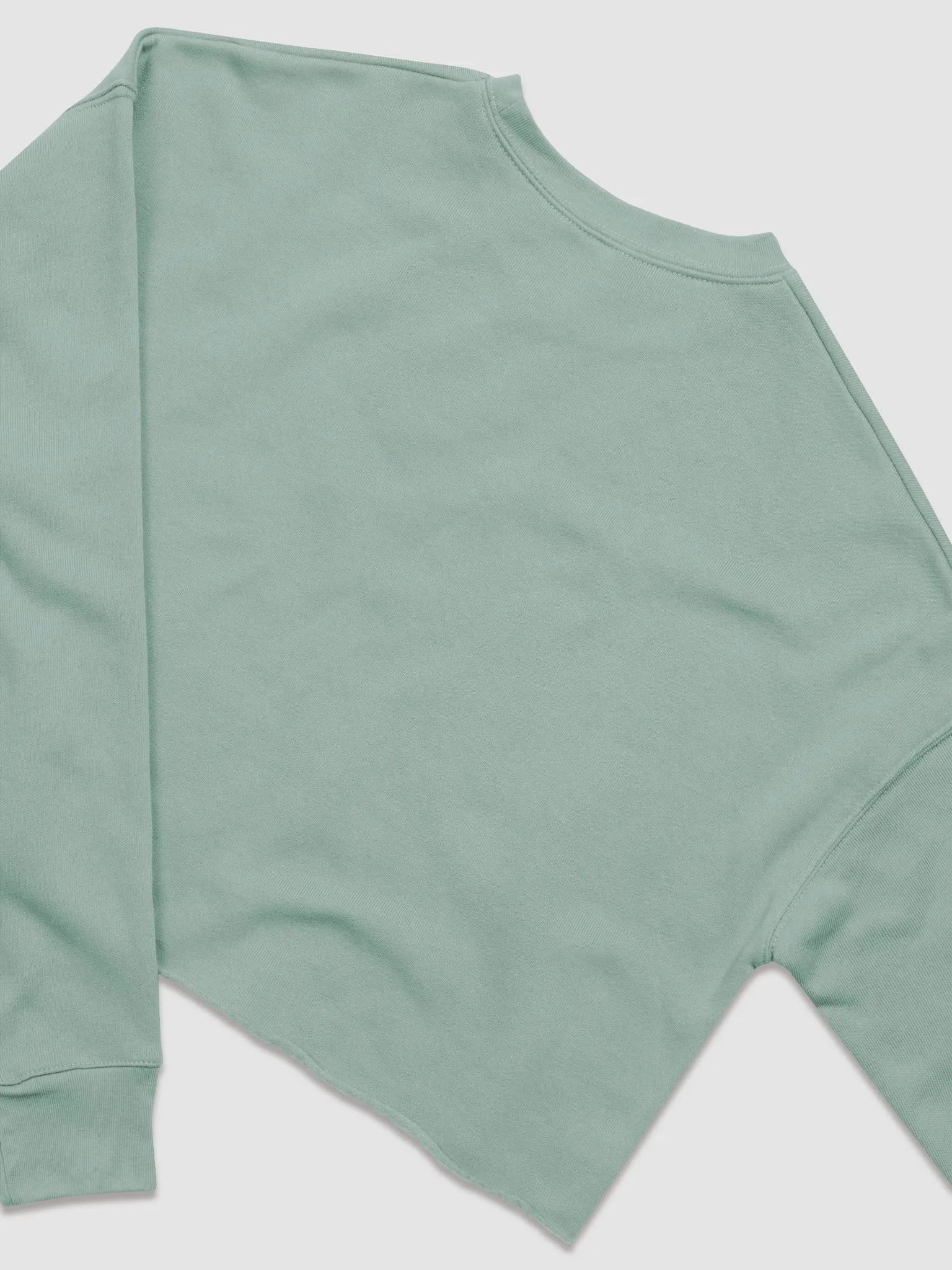TD Annoyed Gorl Crop top product image (25)