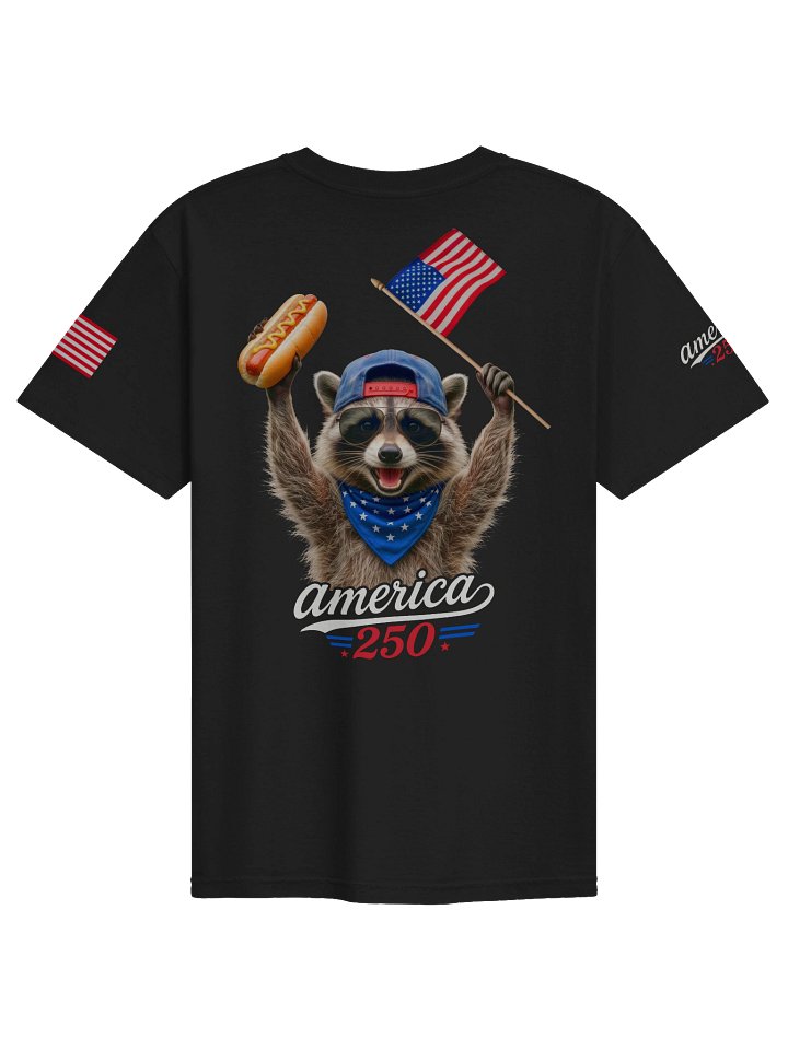 America 250th Independence Racoon T-Shirt product image (3)