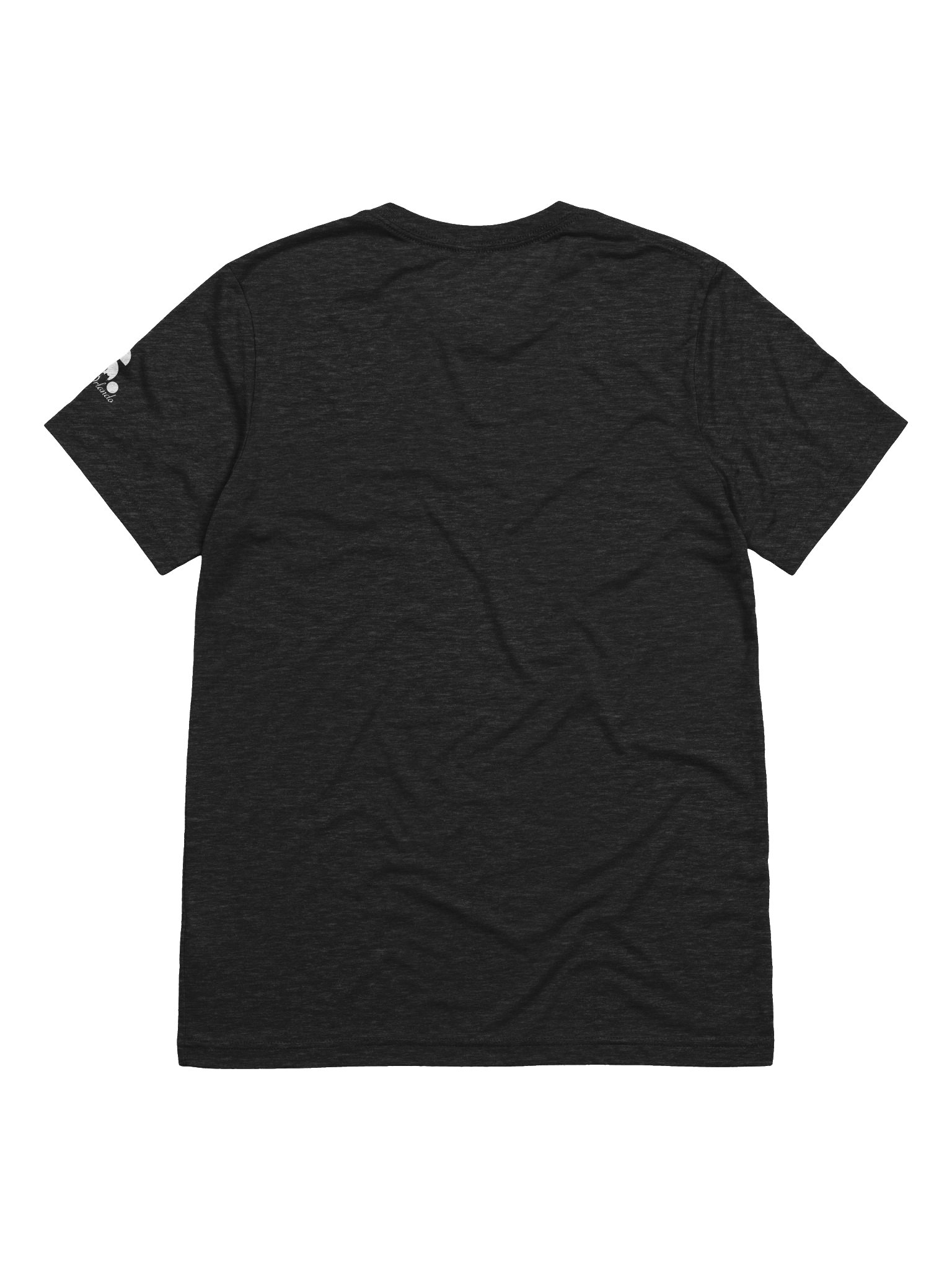 Rogers T-Shirt product image (2)