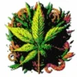animated twitch emote product image (1)