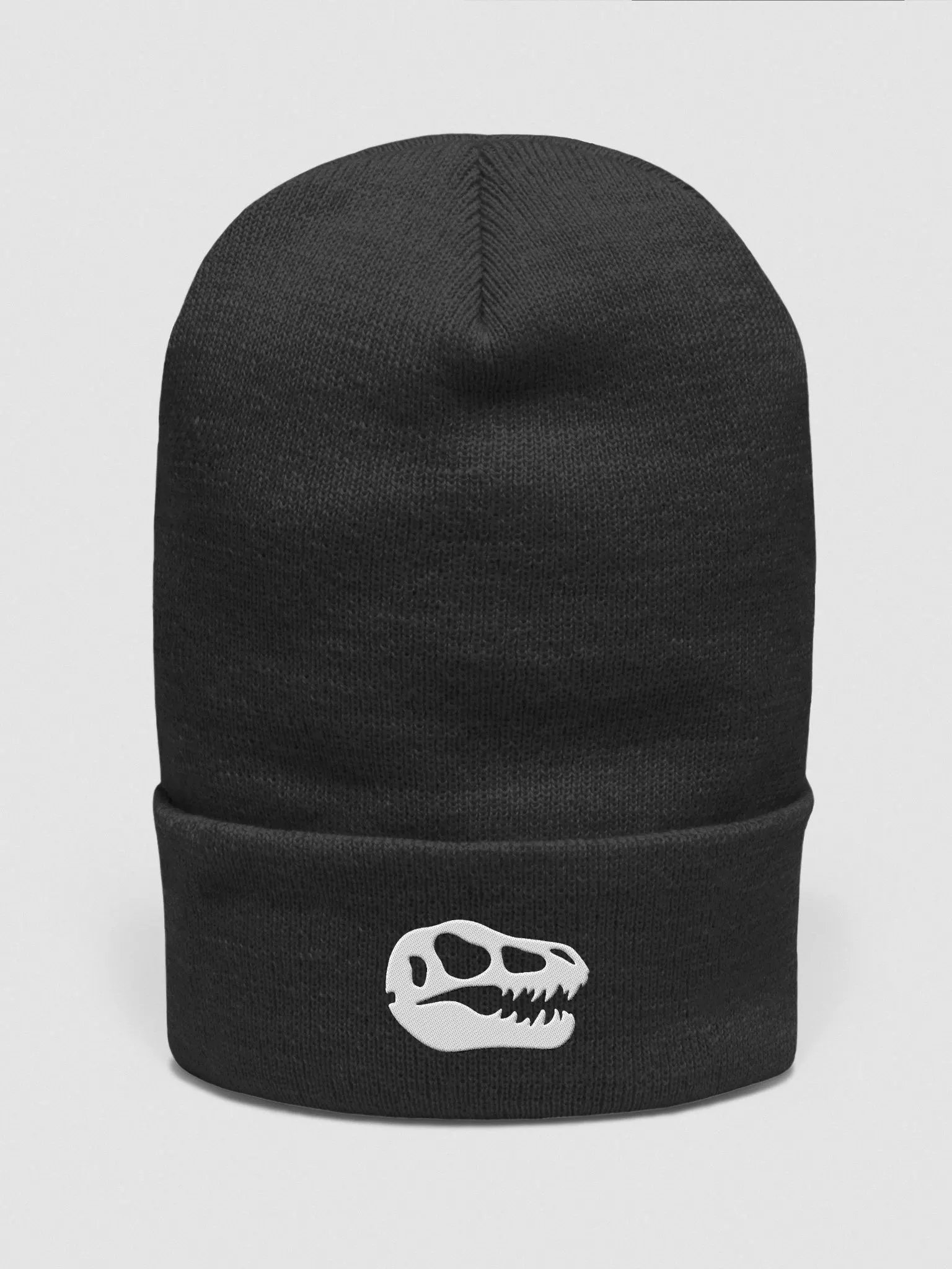 TyyRex Logo Beanie (White) product image (2)