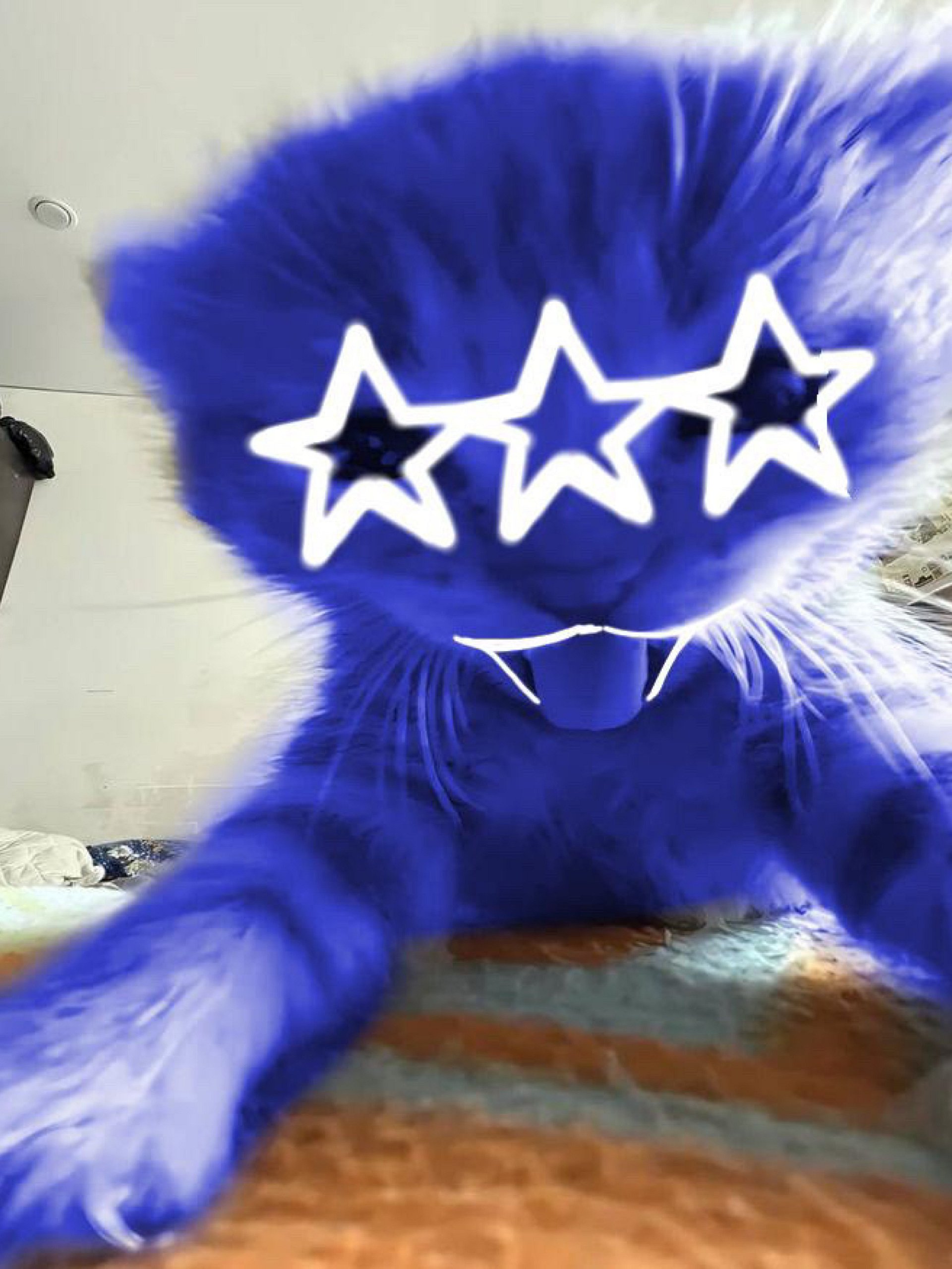 [G1SM0]© CAT TEE🐱 product image (2)