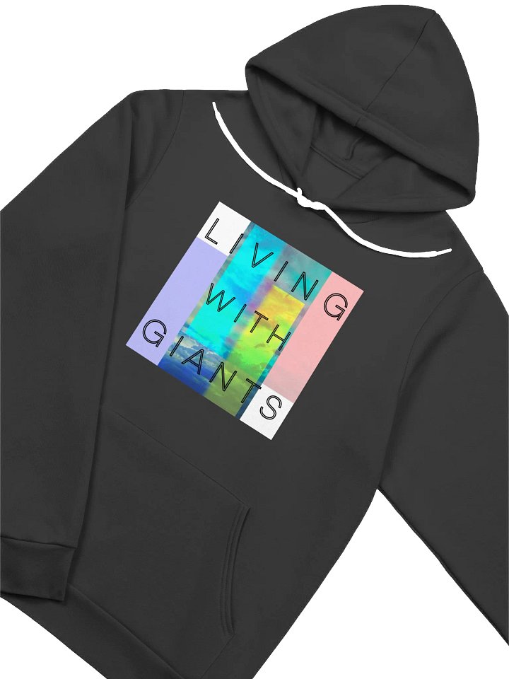 Chroma Hoodie product image (2)