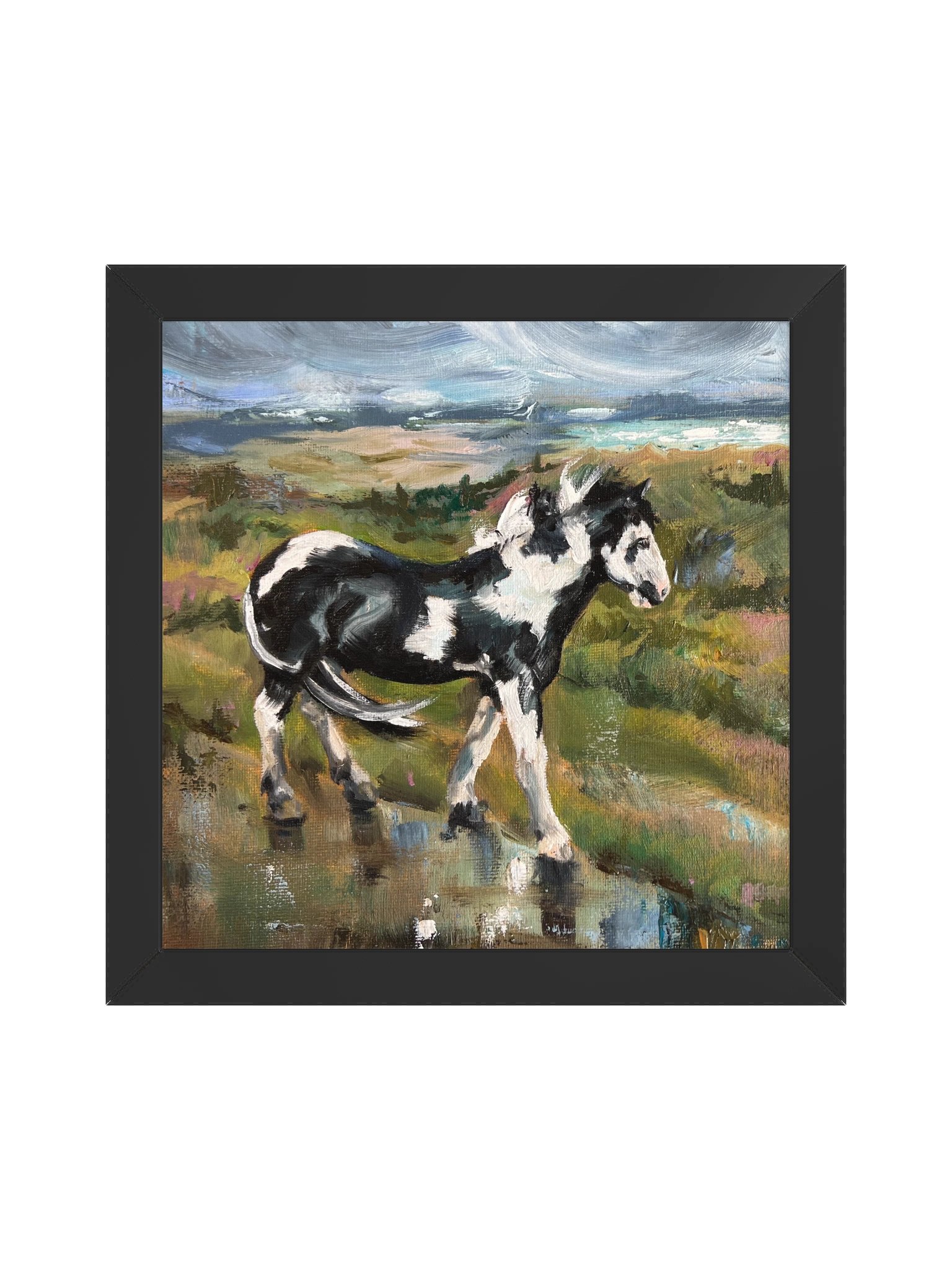 Pirate of Studland Bay - Piebald Horse Print product image (1)