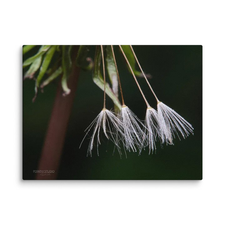 Four Remaining Wishes - Print On Canvas product image (1)