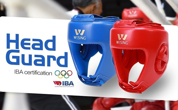 WESING IBA APPROVED LEATHER HEAD GUARD product image (1)