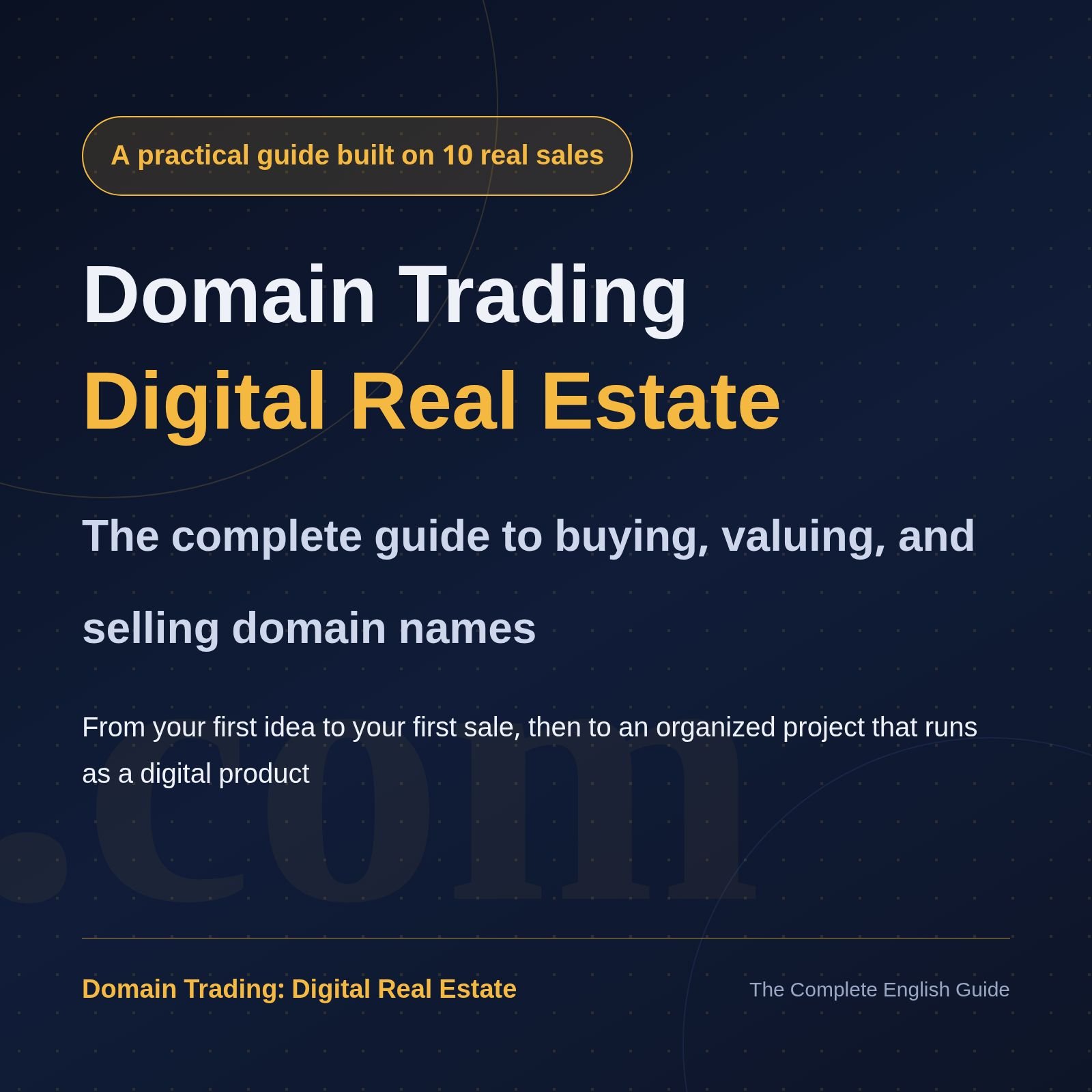Domain Trading: Digital Real Estate | The Complete Guide to Buying, Valuing and Selling Domain Names product image (1)