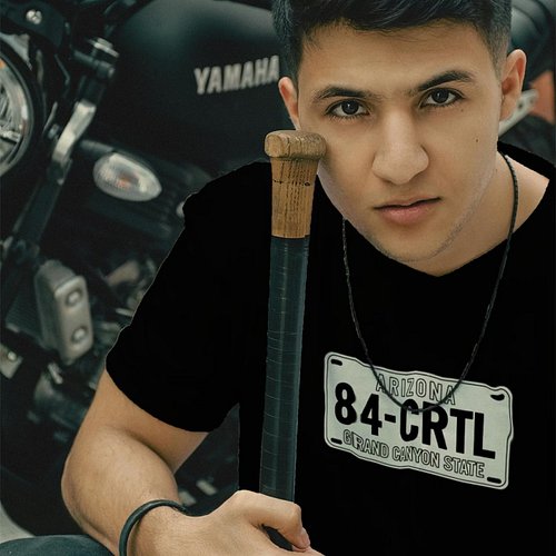84‑CRTL License Plate Tee

Whether you are into cars, retro design or simply want a designer t-shirt with a unique twist, thi...