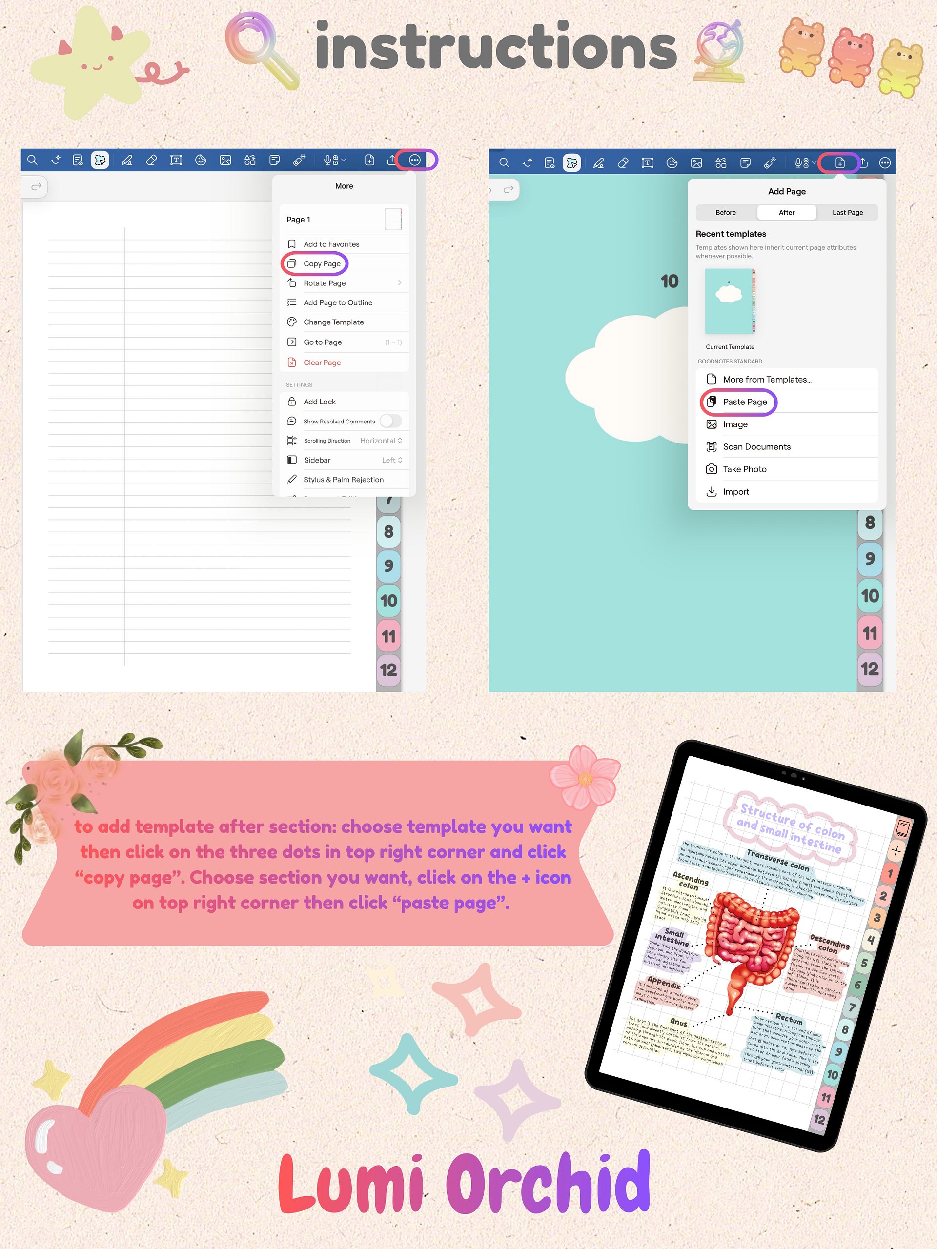White Digital Notebook & Bonus Student Planner 🎁 product image (5)