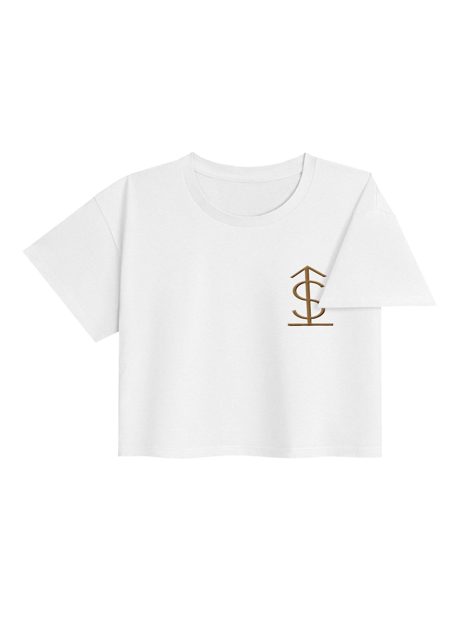MONEY GLYPH CROP — view 72