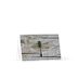 Dragonfly - Greeting Card