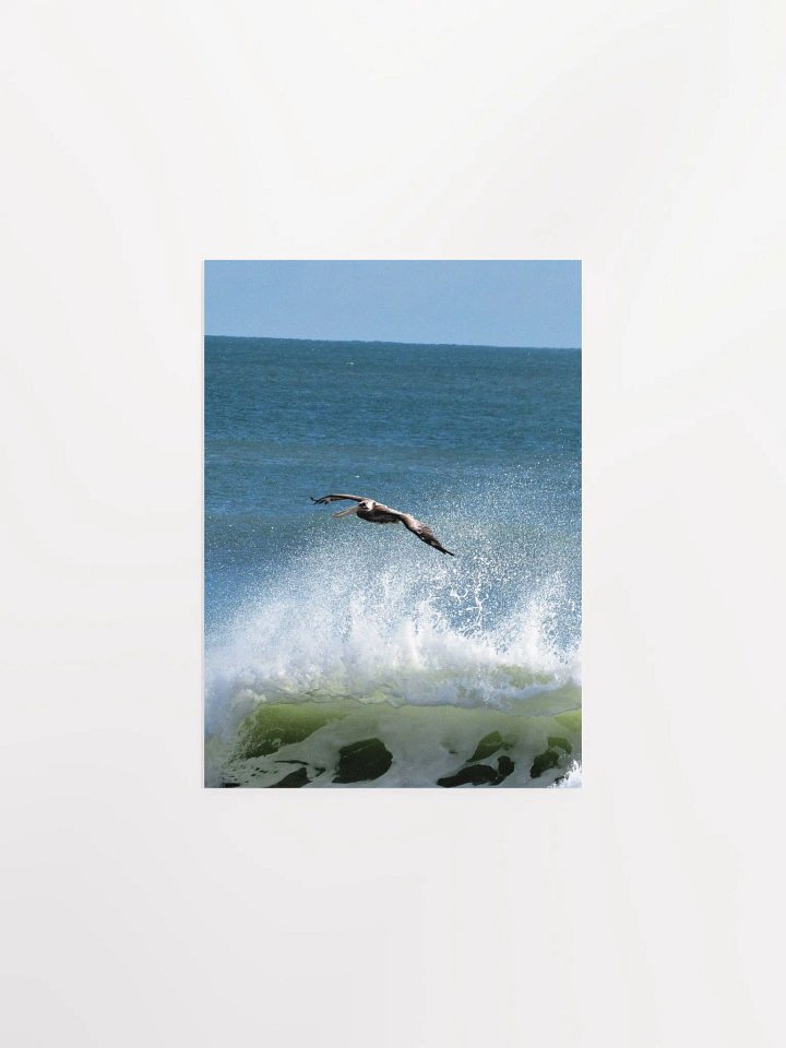 Flying Pelican product image (6)