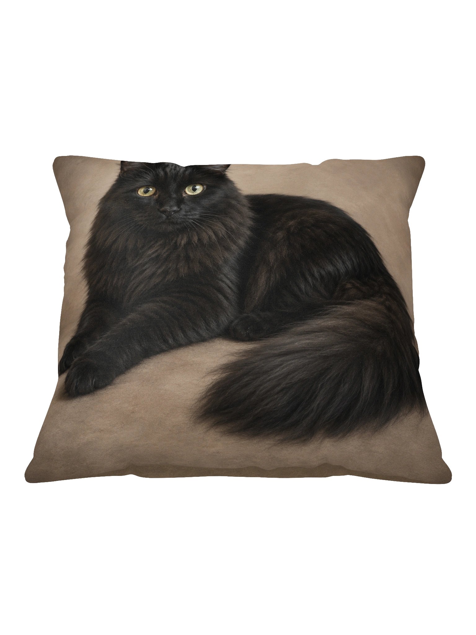 Because...Brutus Throw Pillow product image (2)