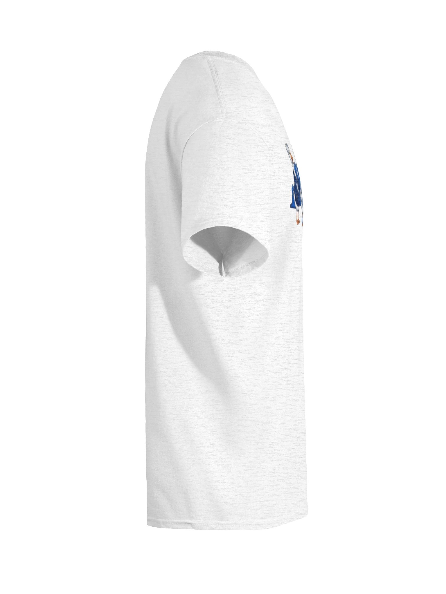 Kentucky Goose Tee product image (10)