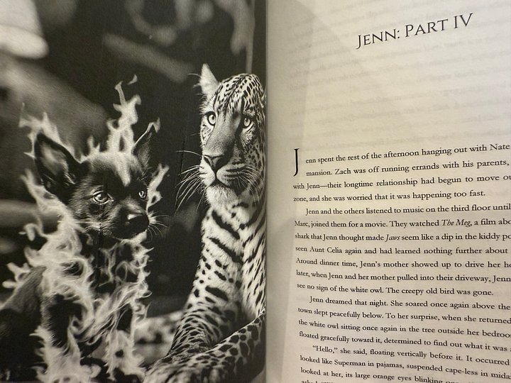 The Witchfinder's Familiar Hardcover Book *Signed* (Dust-jacketed, B&W Interior) product image (2)
