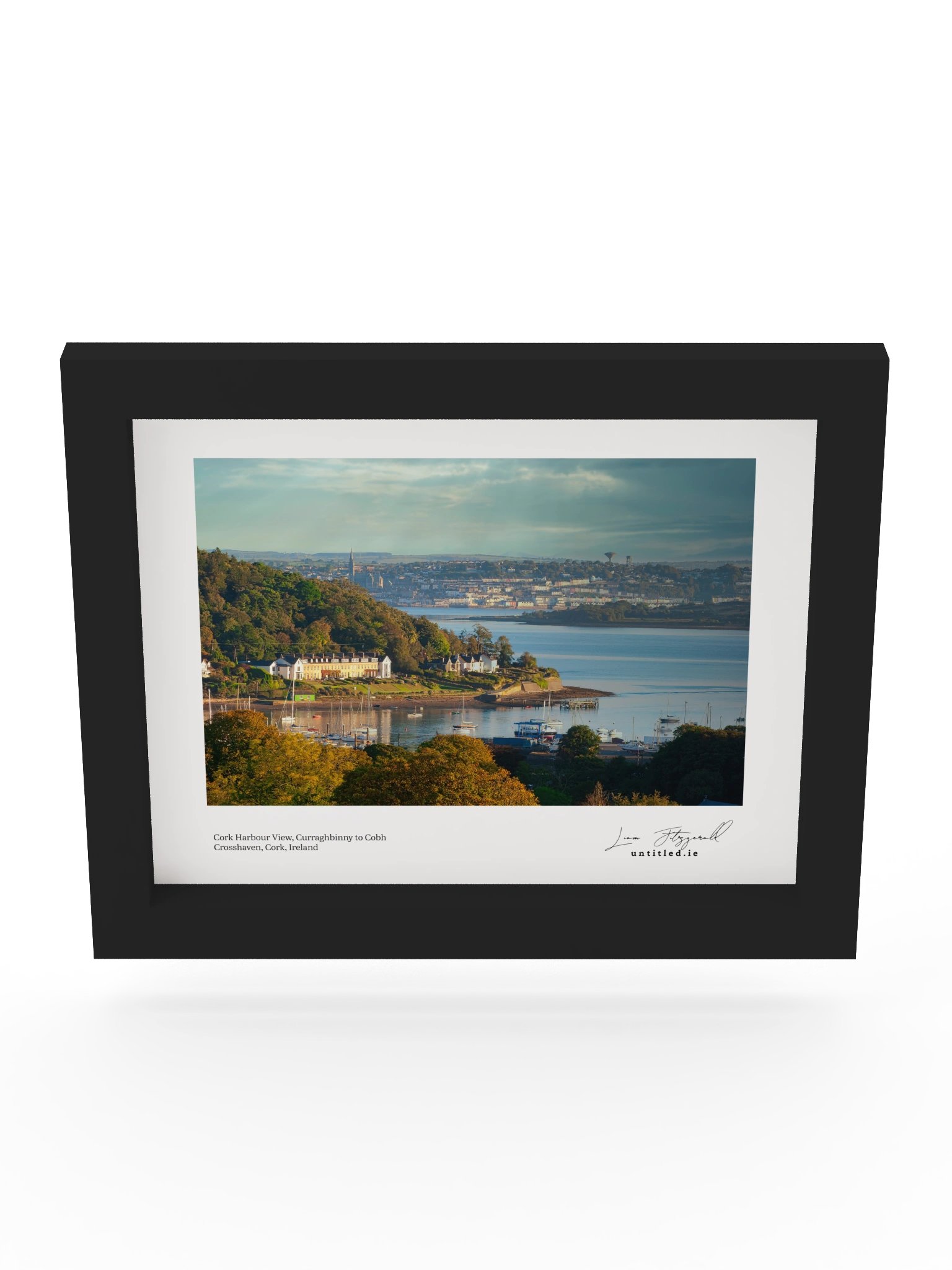 Cork Harbour View - Curaghbinny to Cobh product image (4)