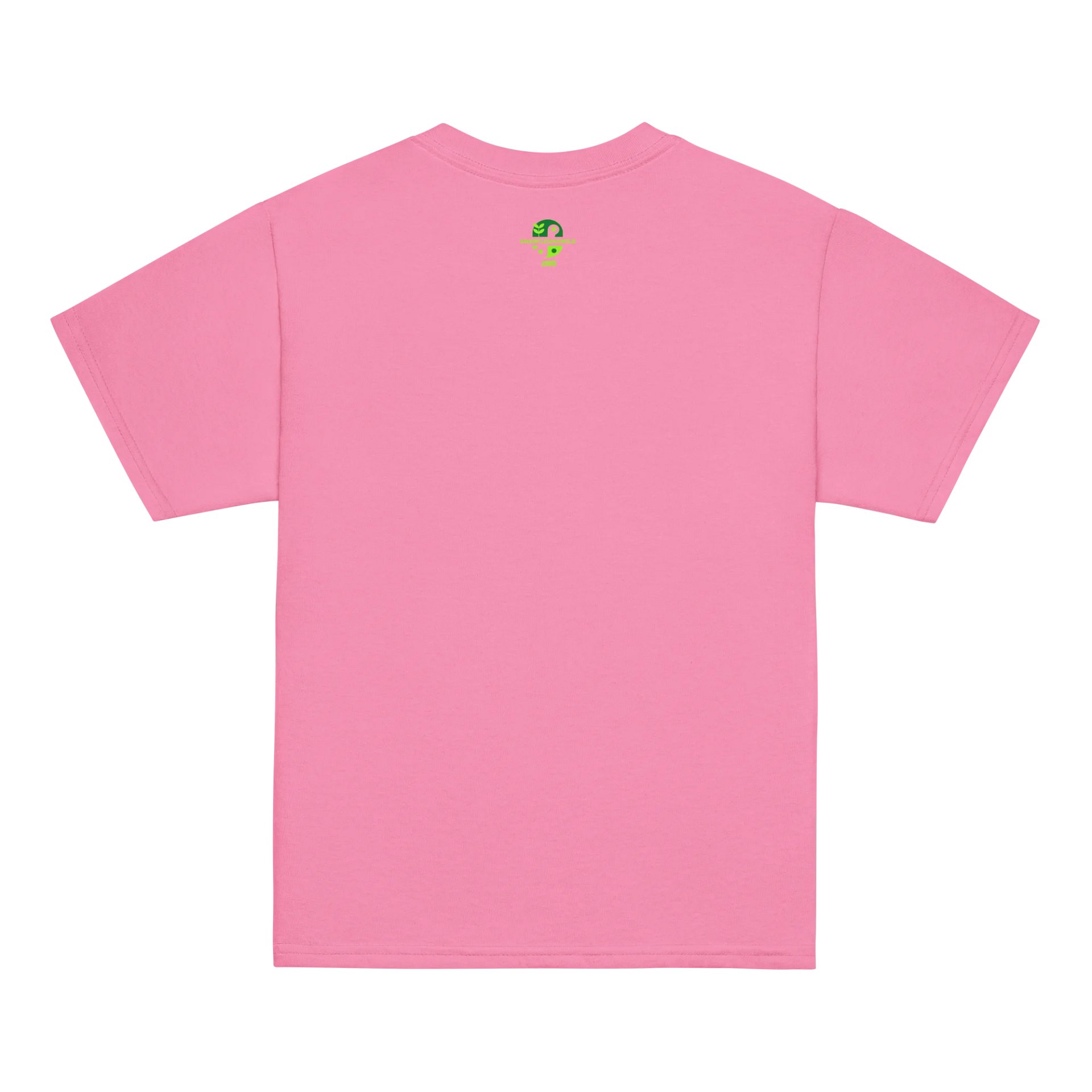 Hard Headed As A Pachycephalosaurus - Funny Dinosaur Shirt product image (38)