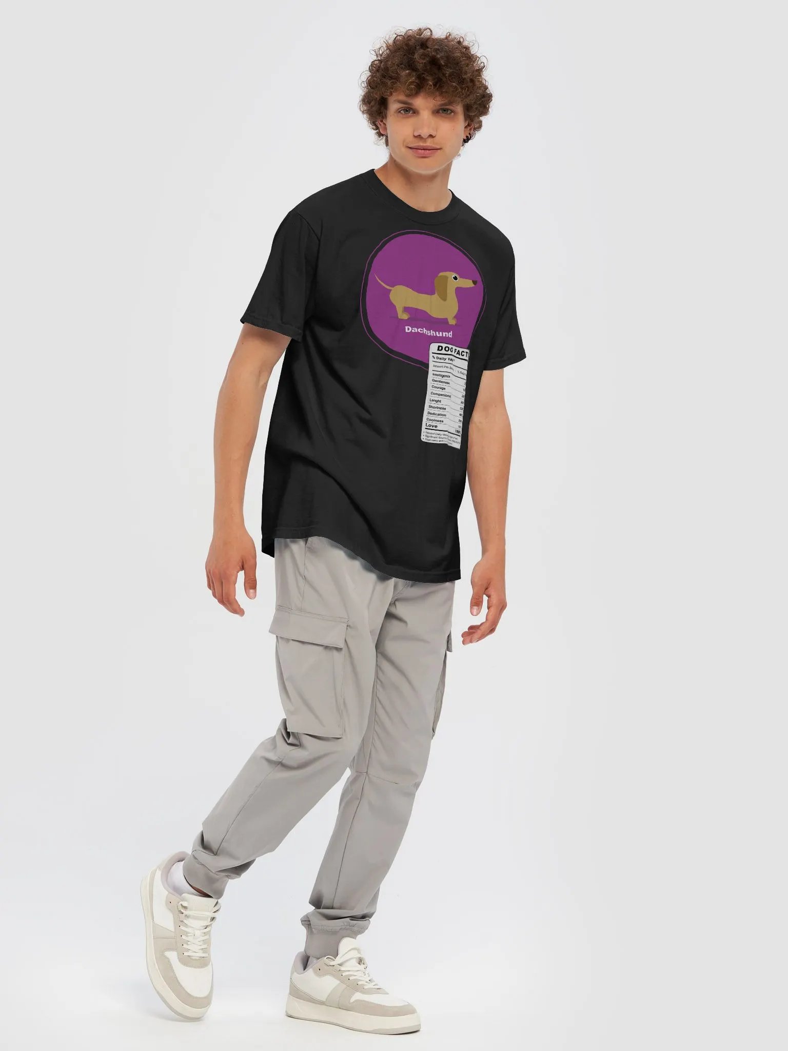 dachshund dog facts product image (32)