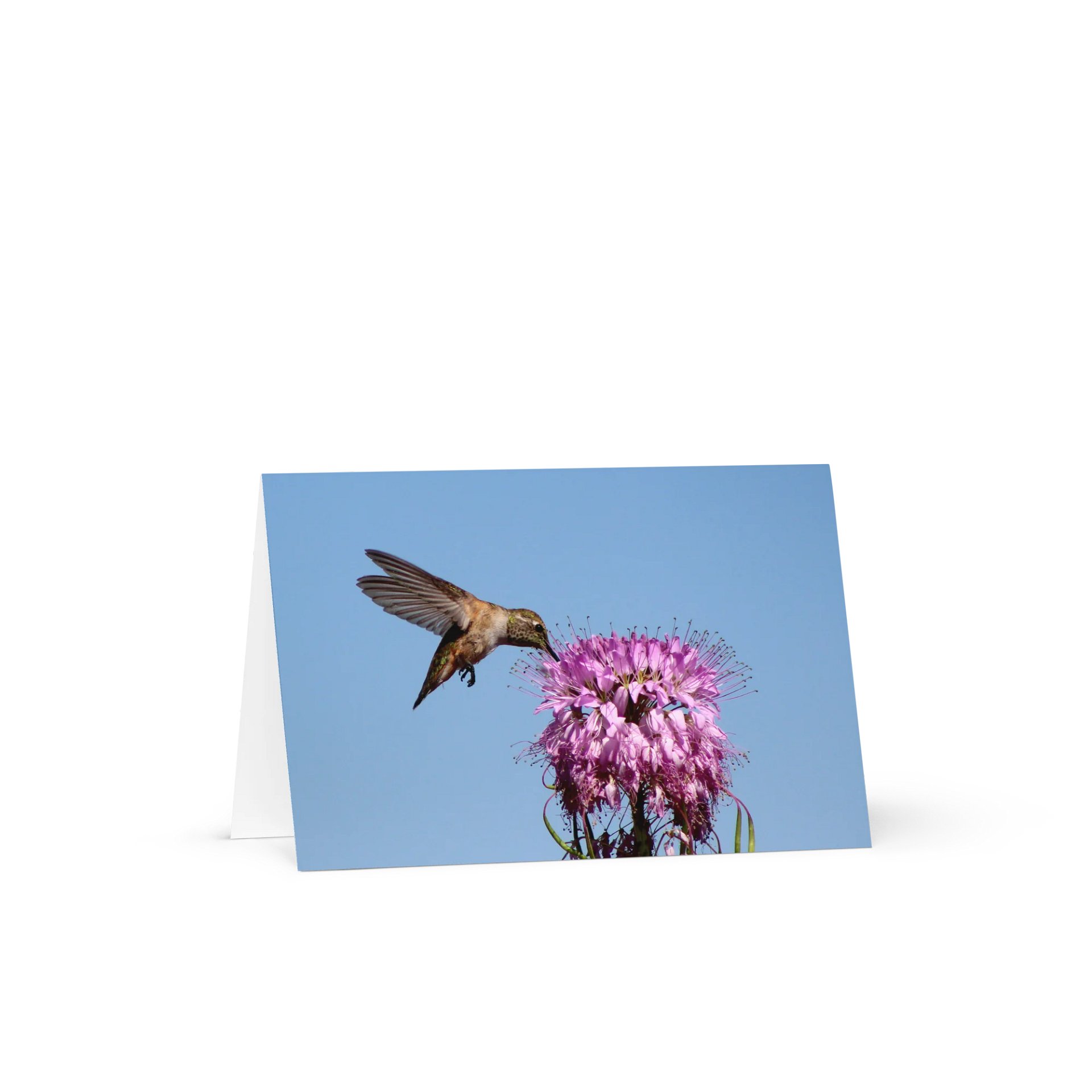 Hummingbird Greeting Card product image (1)