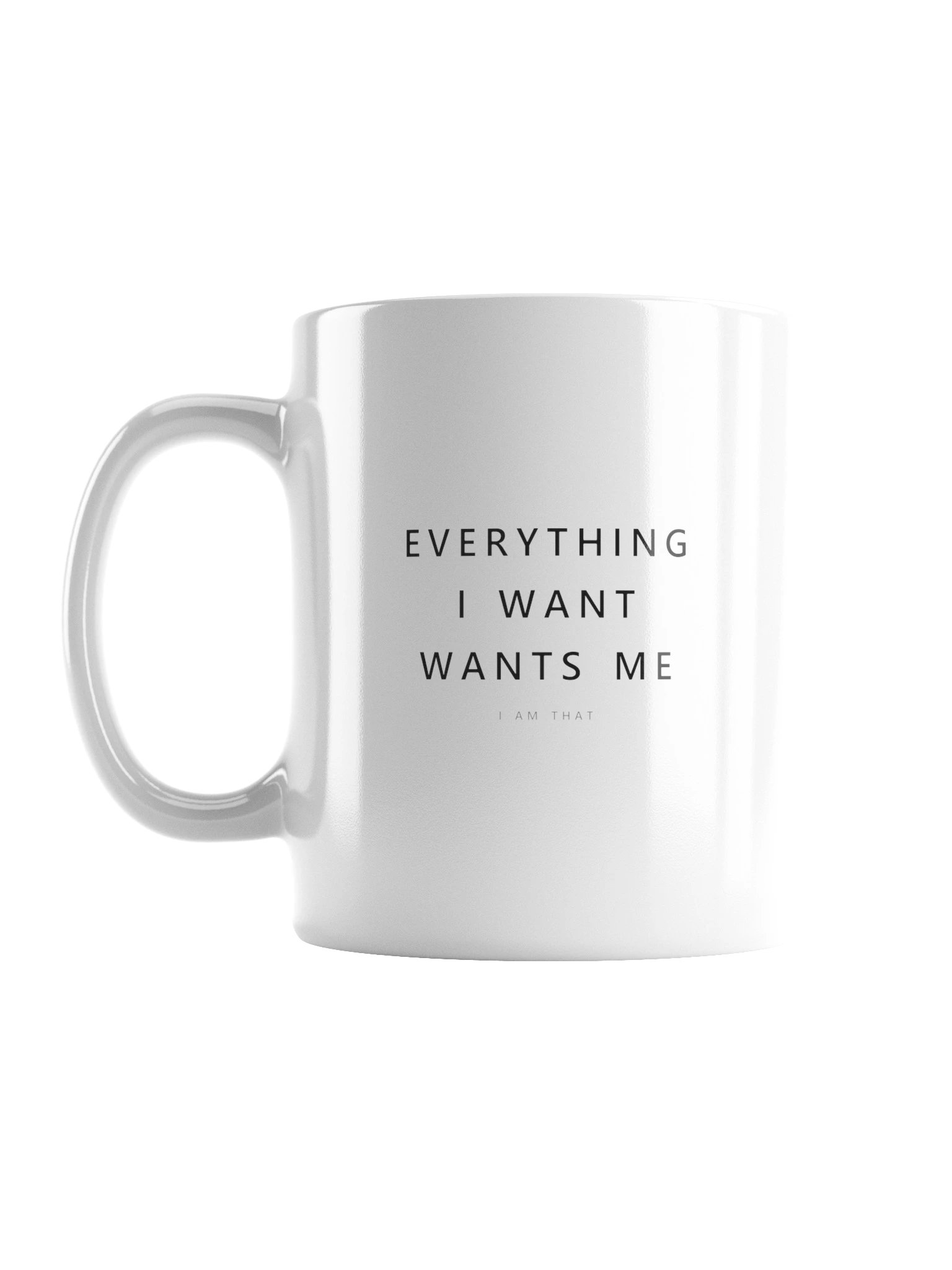 Everything I Want Wants Me Mug product image (1)