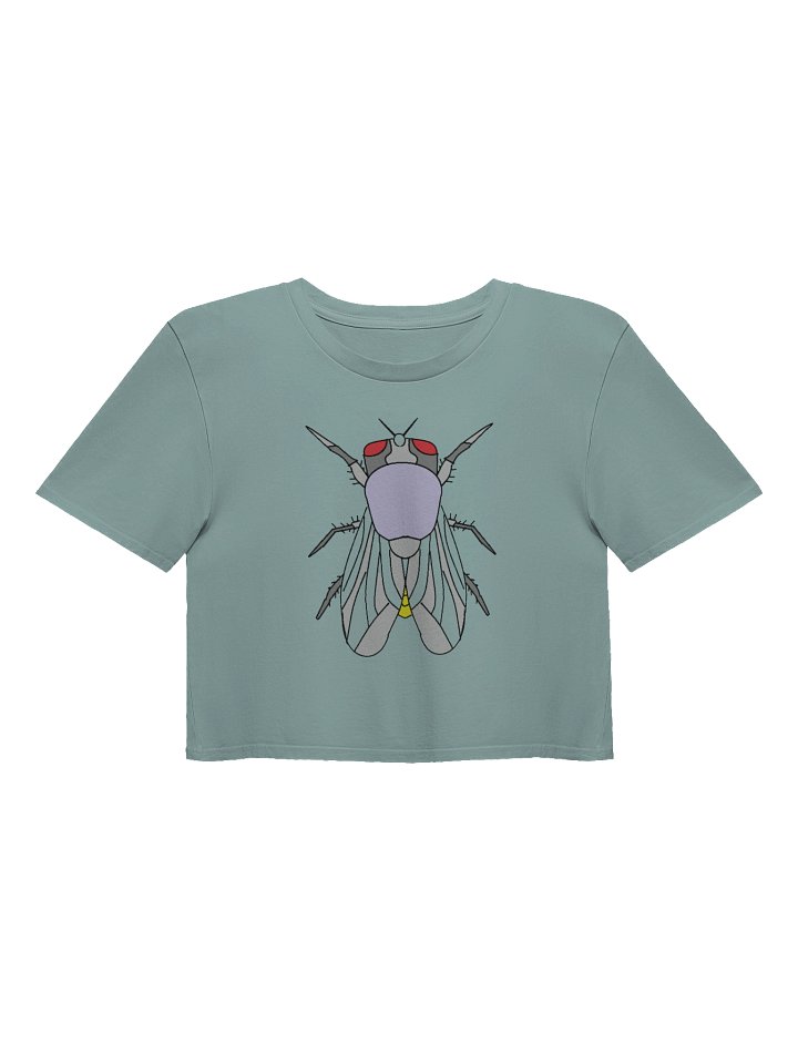 Fly High in Style Crop Top product image (4)