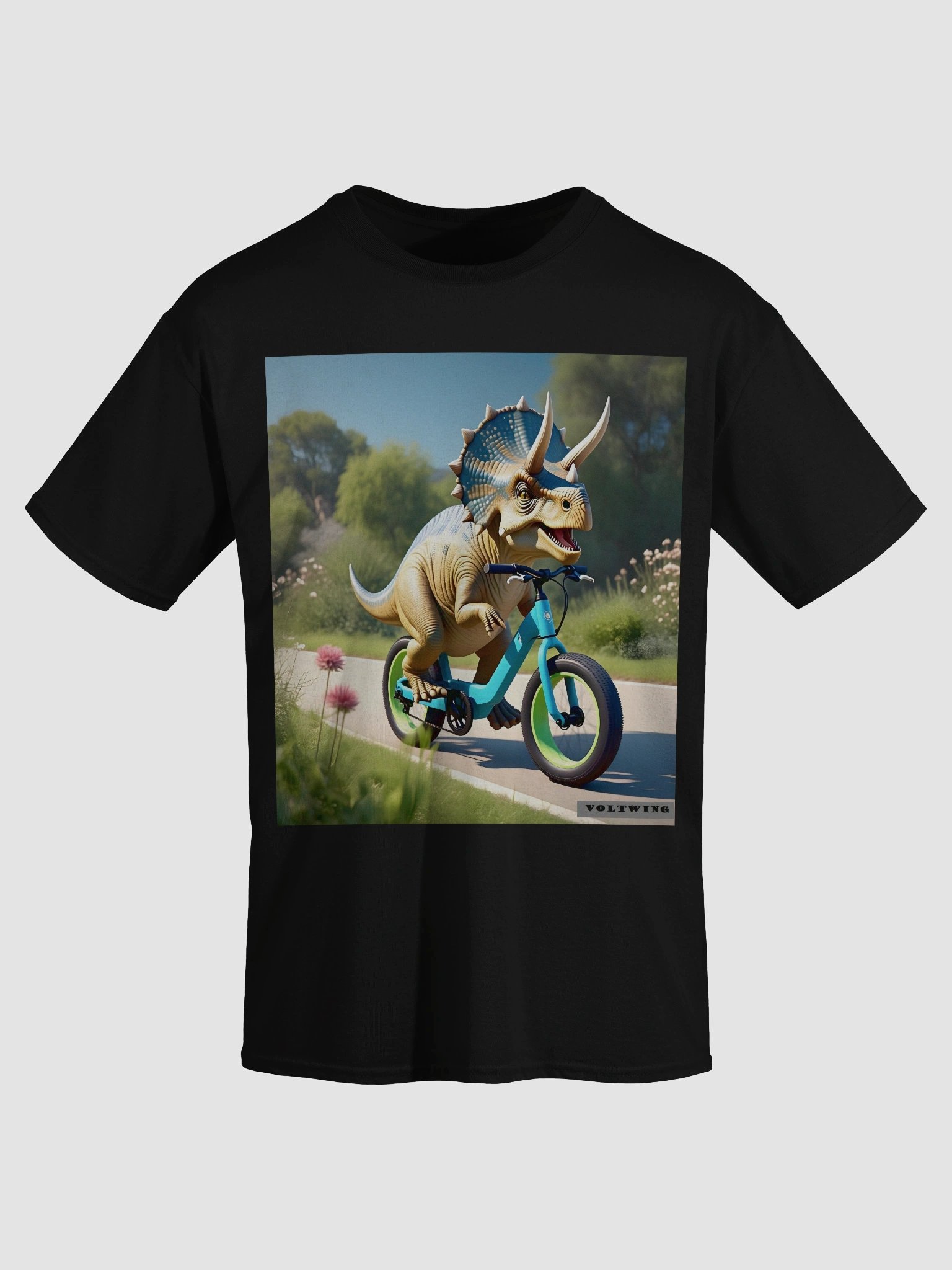 TRI-Ebike product image (3)
