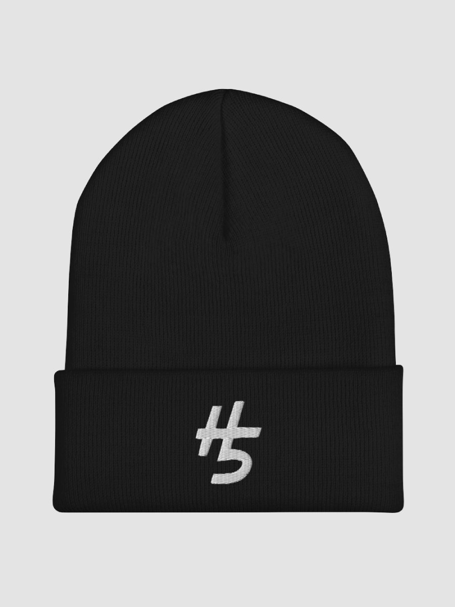 H5 Beanie product image (2)