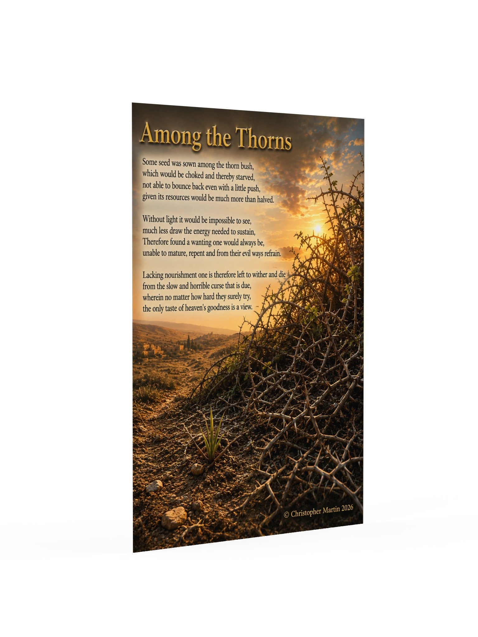 Among thorns product image (2)