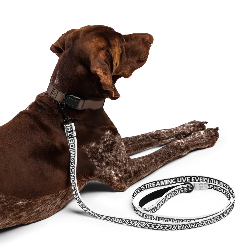 DCS Leash product image (5)