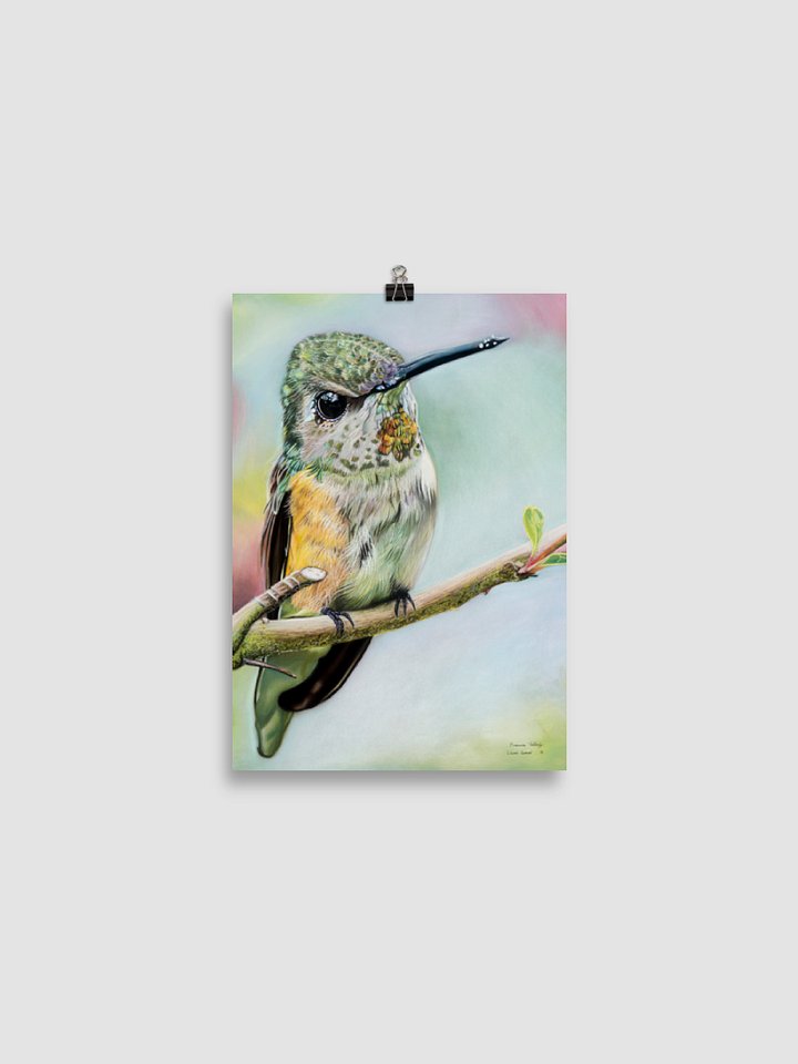 Wilmas Garden ~ Hummingbird Enhanced Matte Paper Poster product image (2)