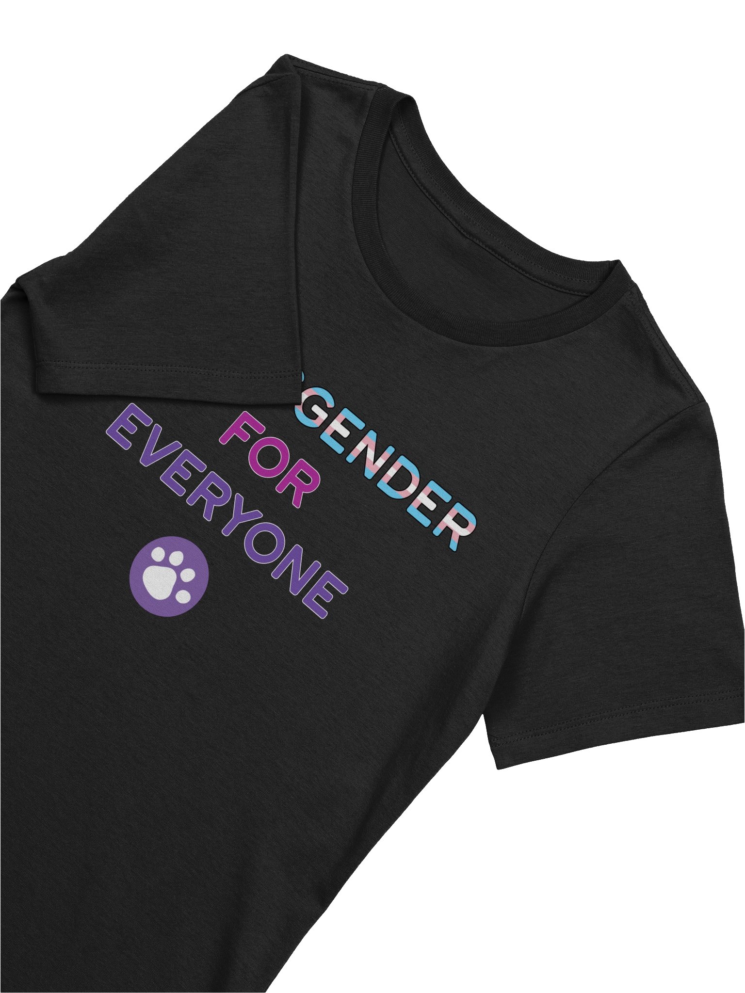 Transgender for Everyone Women's T-Shirt product image (5)