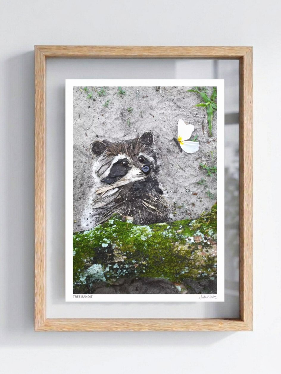 TREE BANDIT | Fine Art Print product image (1)