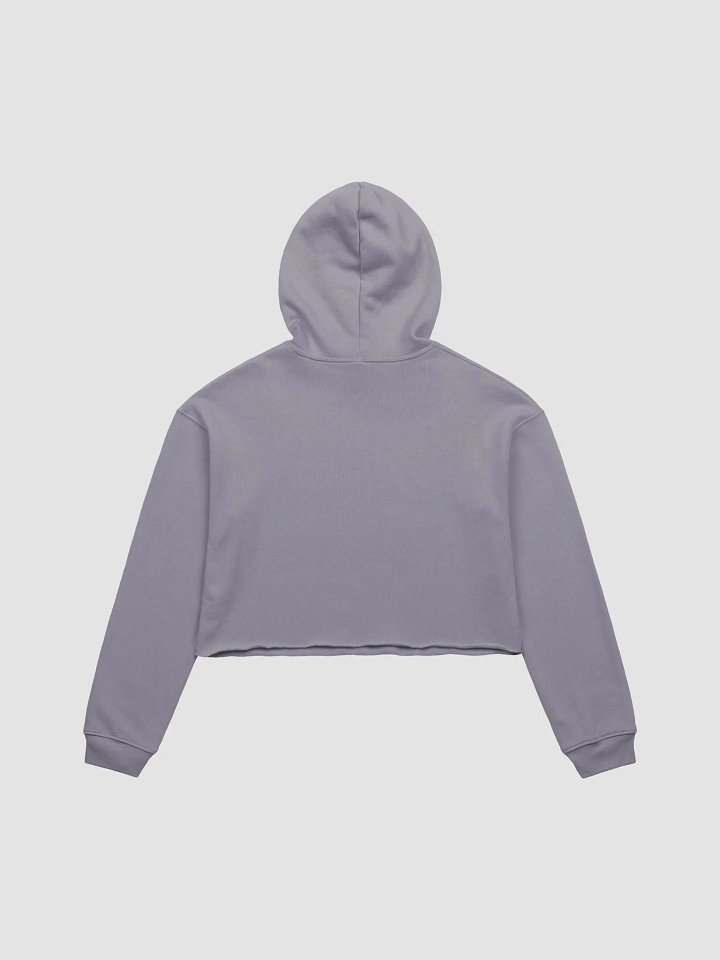 CRZYT CROP HOODIE product image (3)