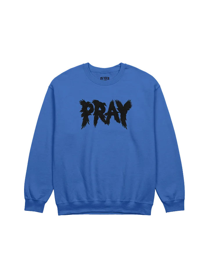 Birds Of Pray Sweatshirt product image (1)